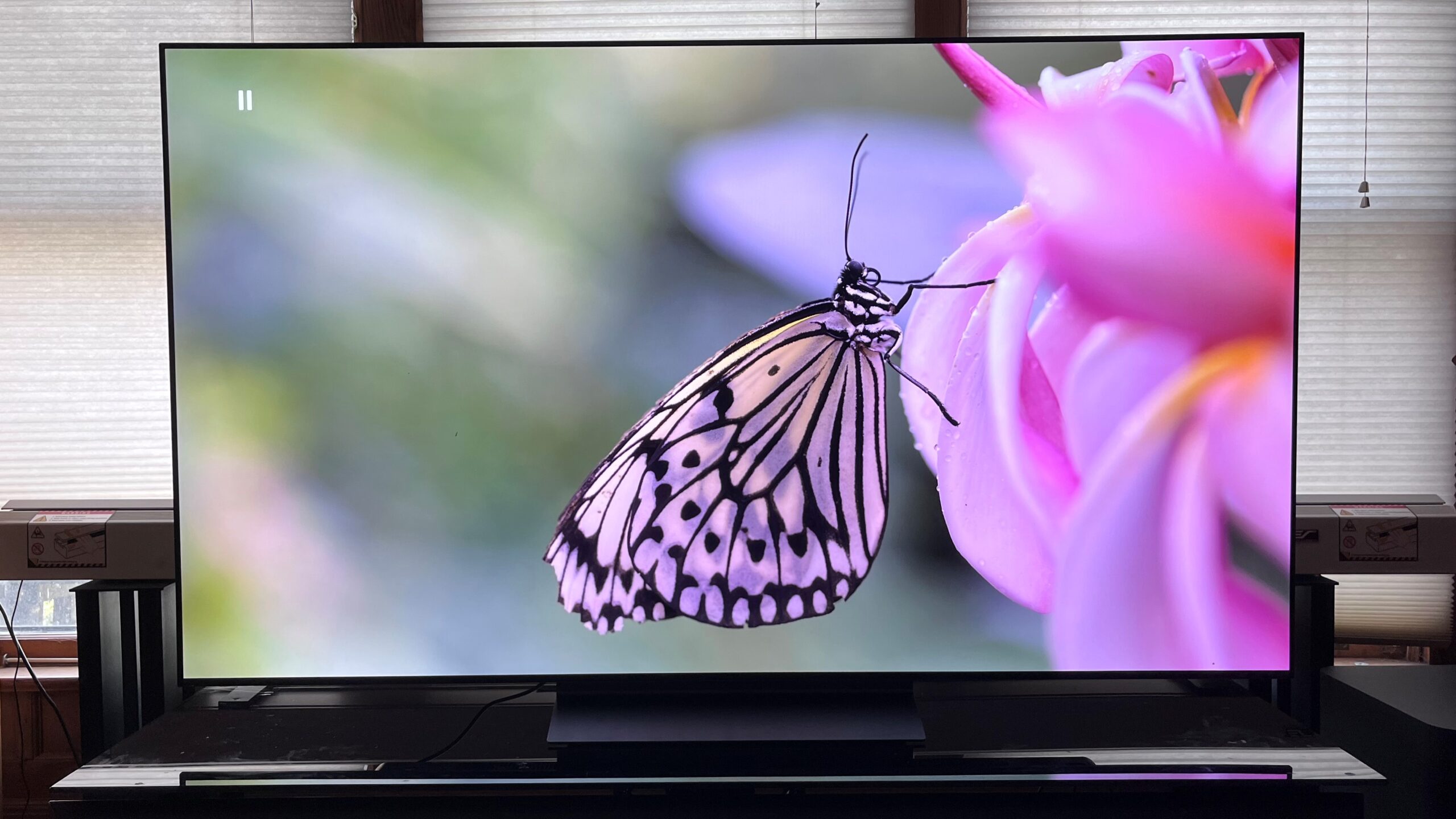 Let’s Talk About LG C3 OLED: A Mix of Trouble and Awesome Views