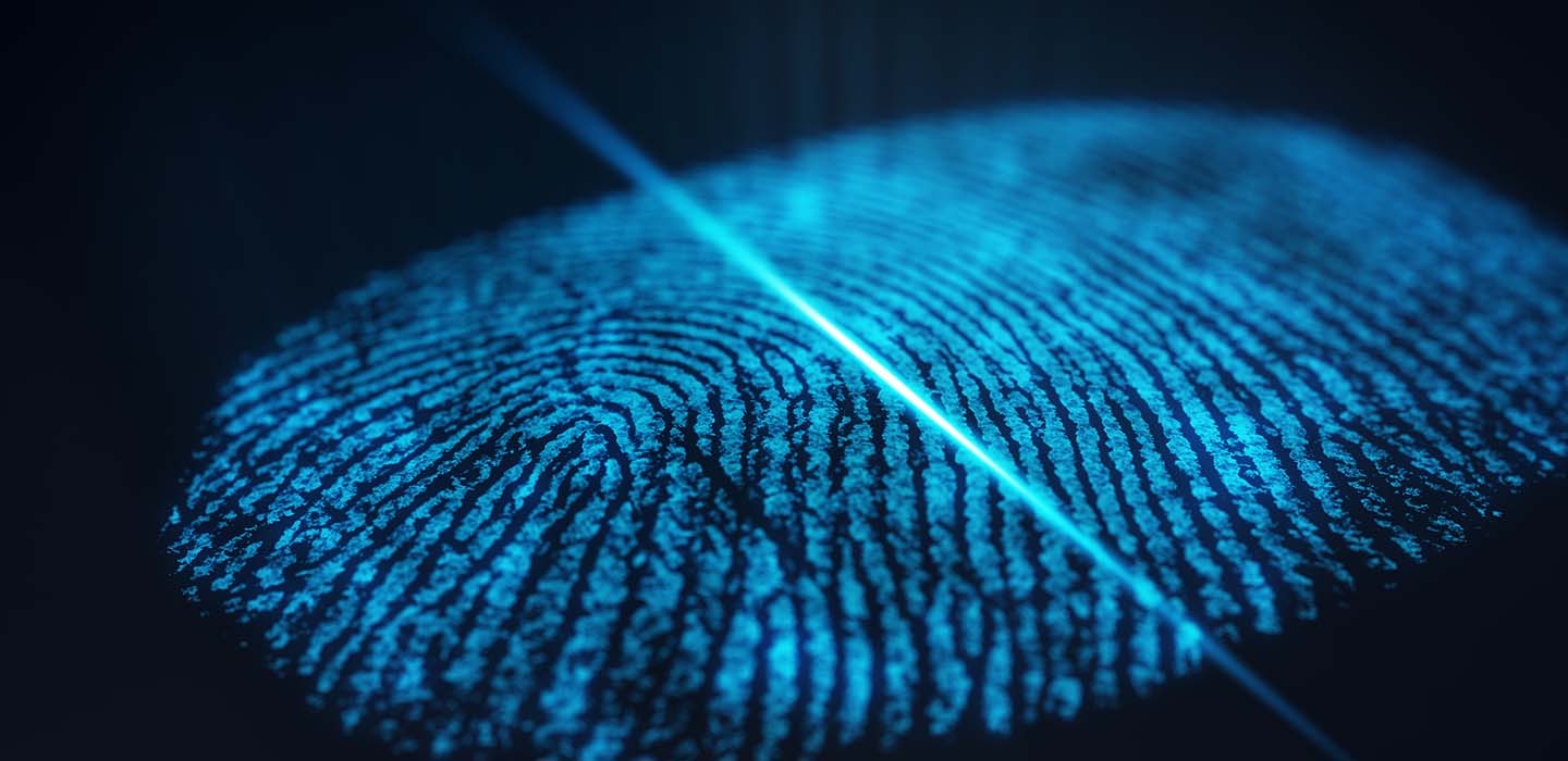 Are Our Fingerprints Really That Special?